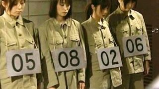 Thumbnail of post image 169