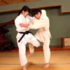 Thumbnail of related posts 131