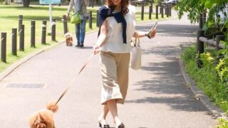 Thumbnail of post image 104