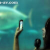 Thumbnail of related posts 039