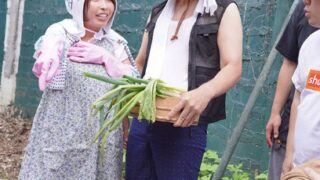 Thumbnail of post image 067